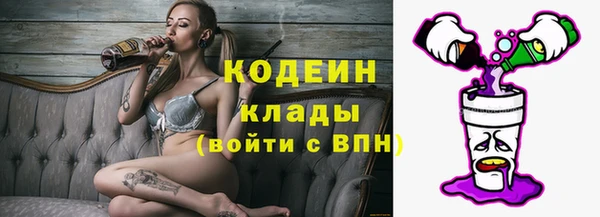 индика Вяземский