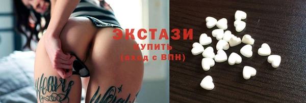 индика Вяземский