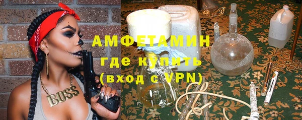 индика Вяземский