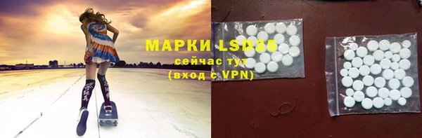 индика Вяземский
