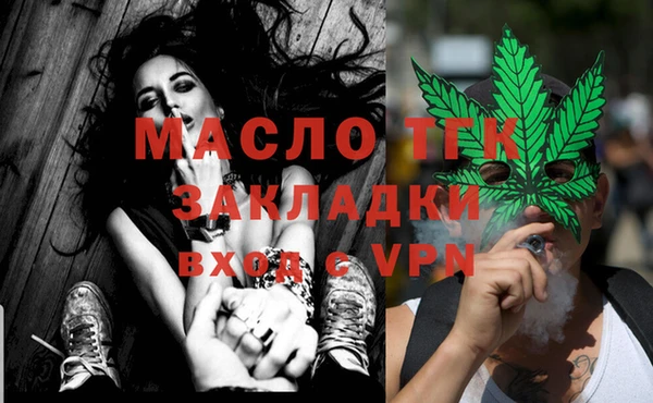индика Вяземский