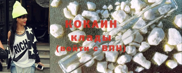 индика Вяземский