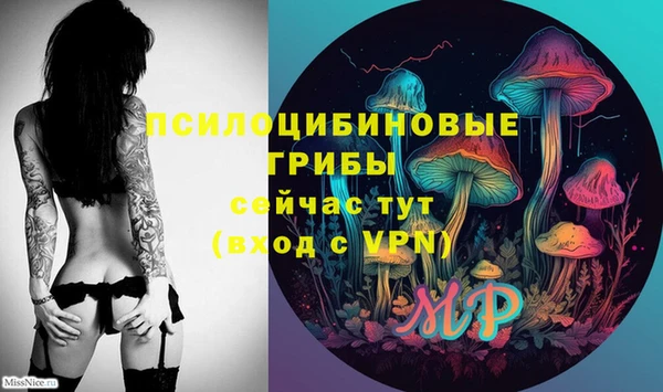 индика Вяземский