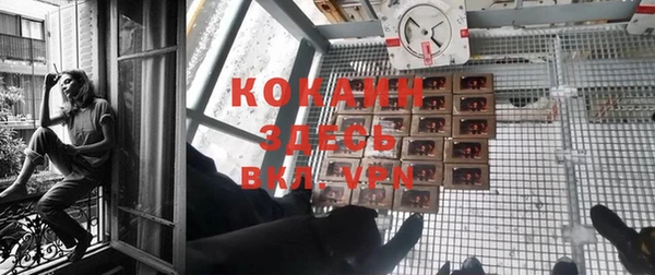 индика Вяземский