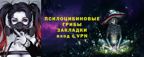 индика Вяземский