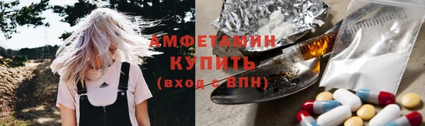 индика Вяземский