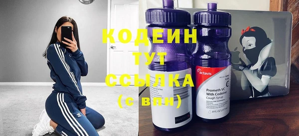 индика Вяземский