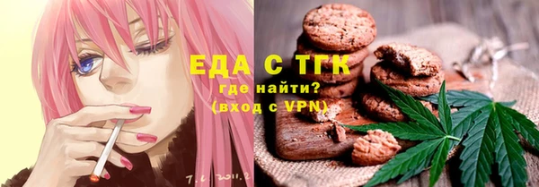 индика Вяземский