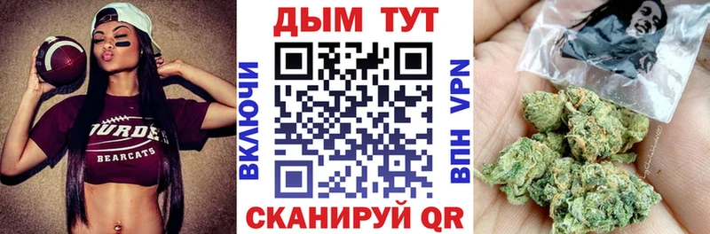 Каннабис White Widow  ссылка на мегу tor  сайты даркнета состав  Гусиноозёрск 
